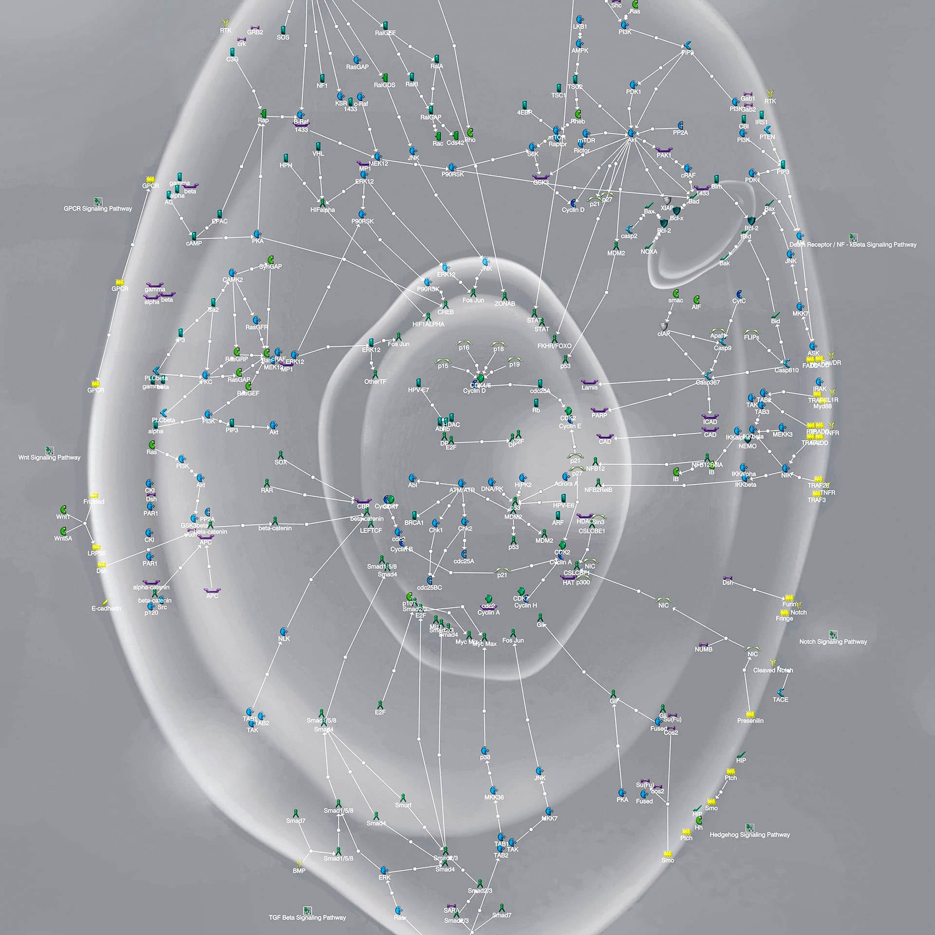 Corporate Report > 2019 > We are where health becomes personalized > Improving healthcare by collaborating, learning and practicing > Image > Dassault Systèmes®