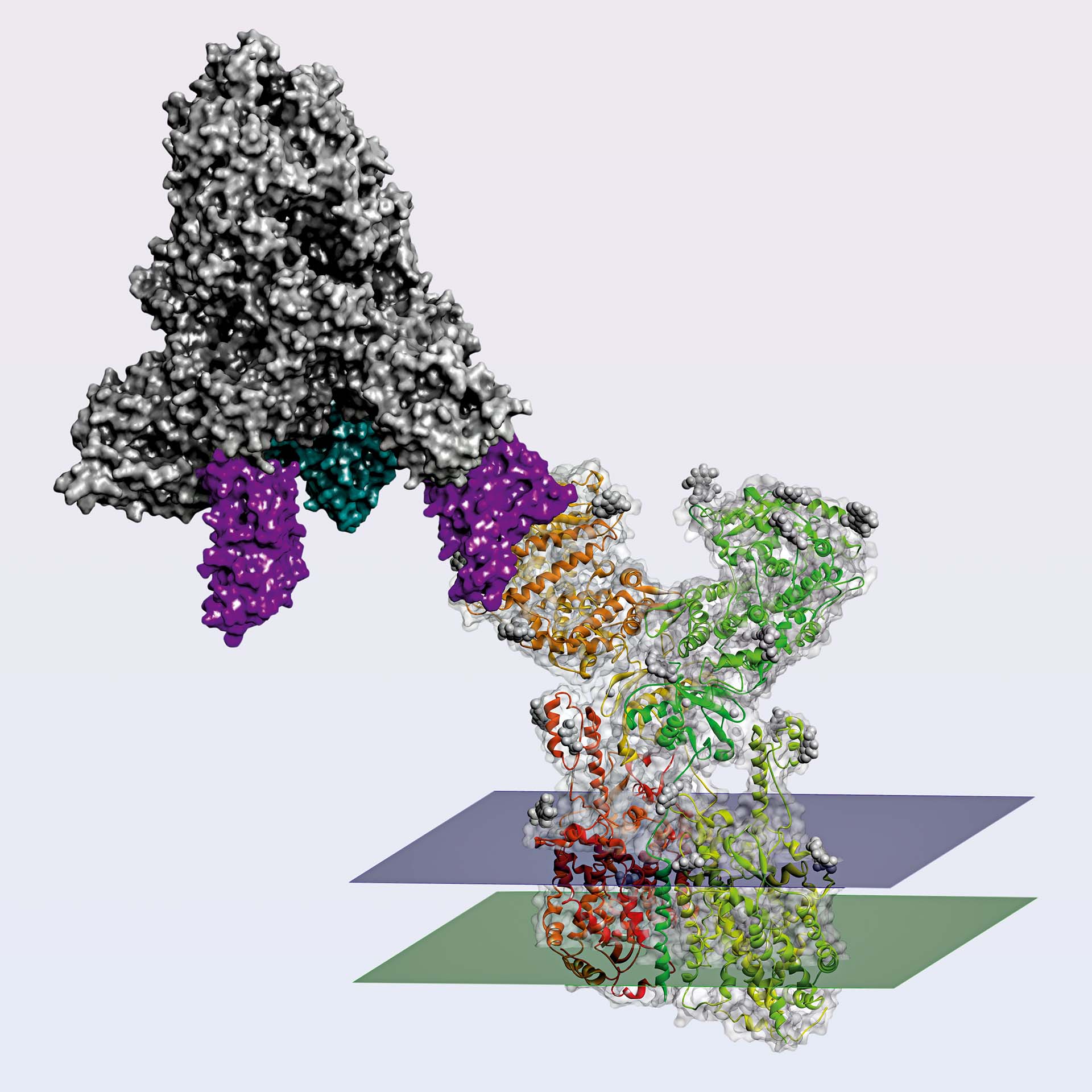 Corporate Report > 2020 > We are where science protects lives > Translational medicine, targeted therapies, omics sciences and devices > Image > Dassault Systèmes®