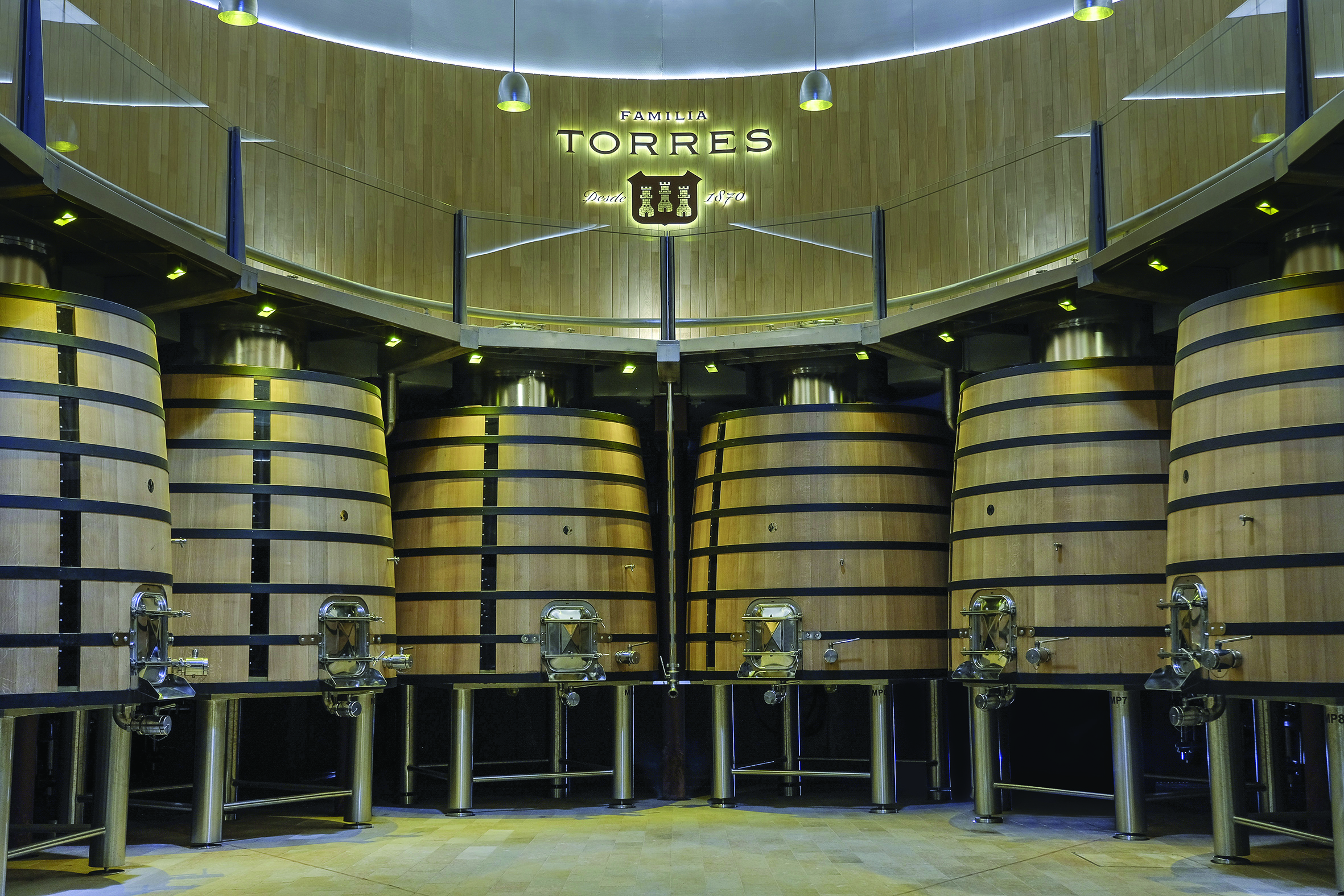 Torres vinification room