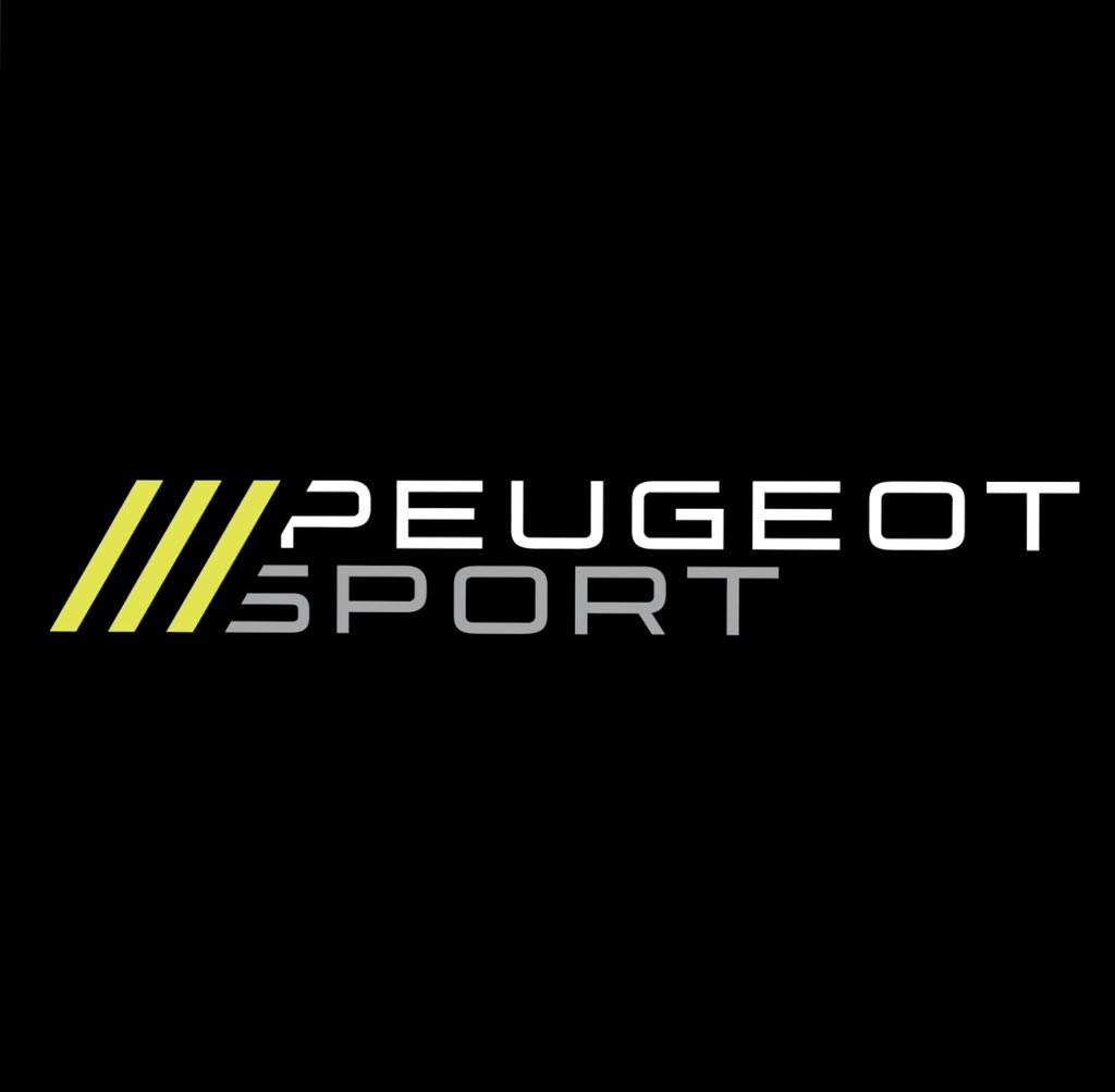 Peugeot Sport logo > Dassault Systemes