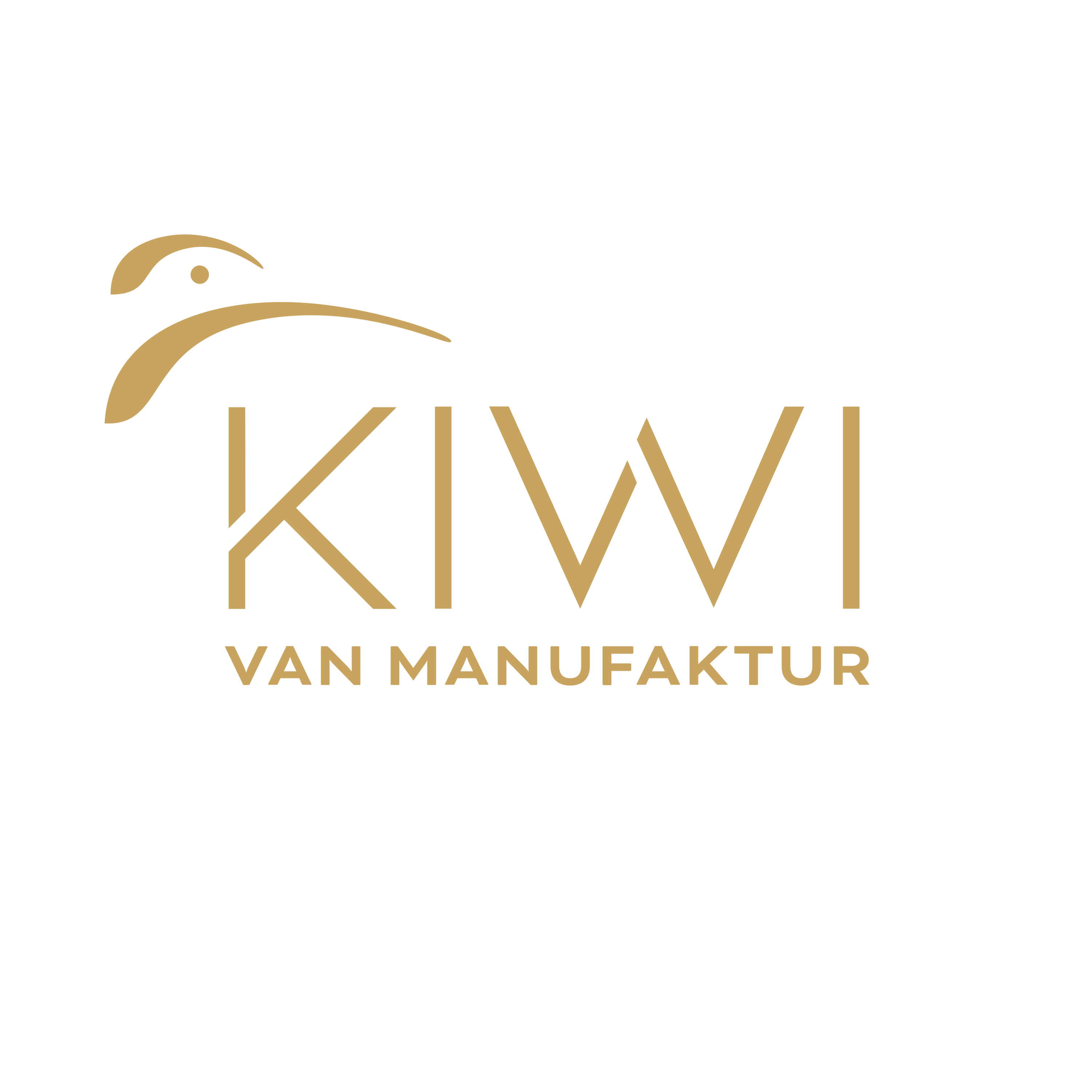 Kiwi Van logo > Dassault Systèmes