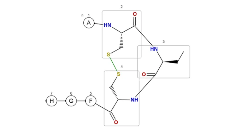 BIOVIA Draw Large Molecule の機能 > ダッソー・システムズ