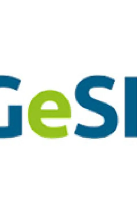 GESI – Global Environmental Solutions